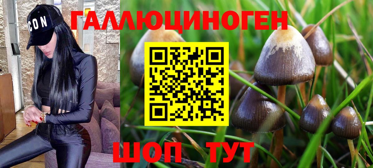 Нижнекамск  Галлюциногенные грибы Magic Shrooms  Вход с VPN 